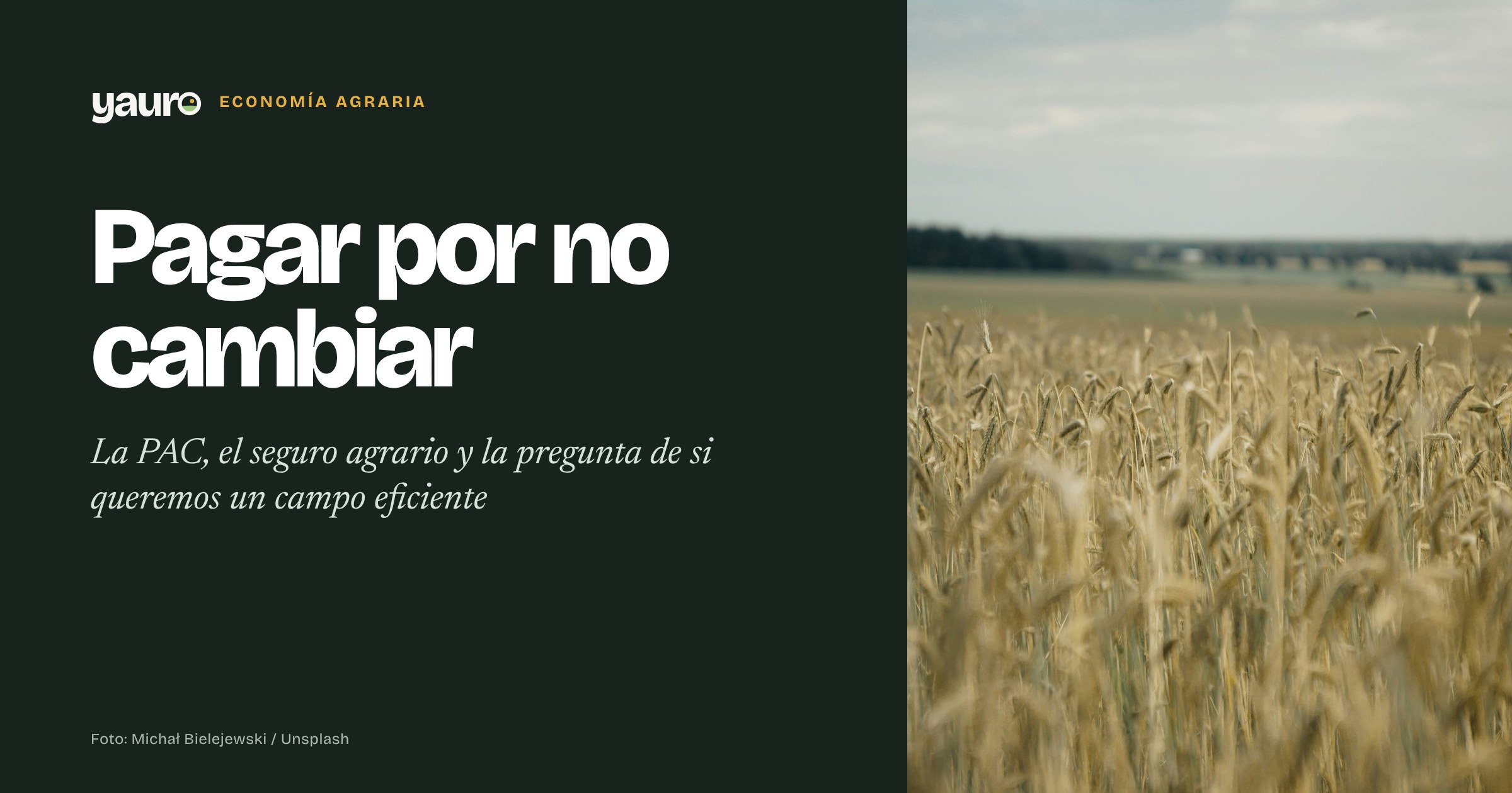 Campo de trigo junto al título «Pagar por no cambiar»